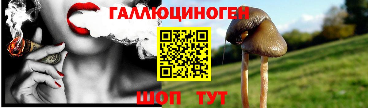 Сорочинск  Галлюциногенные грибы MAGIC MUSHROOMS  Вход с VPN 